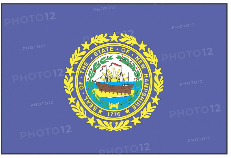 New Hampshire state flag