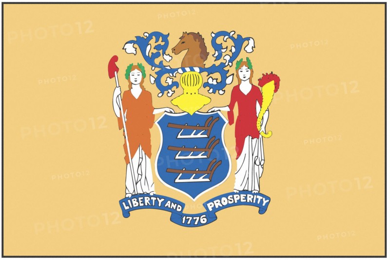 New Jersey state flag
