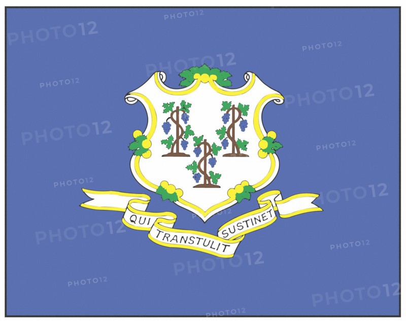 Connecticut state flag