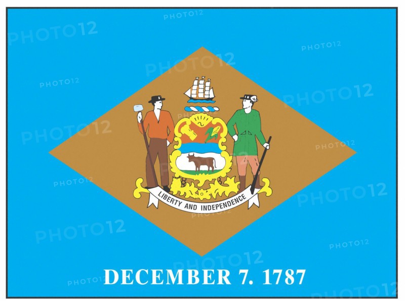 Delaware state flag