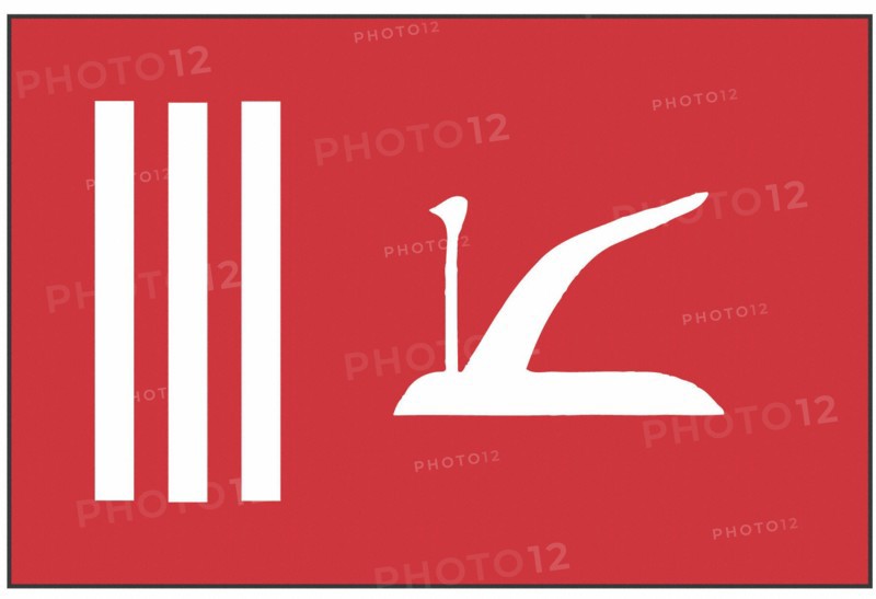 Flag of Kashmir (Indian part)