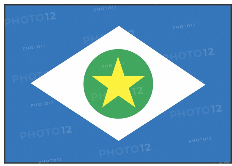 Mato Grosso state flag