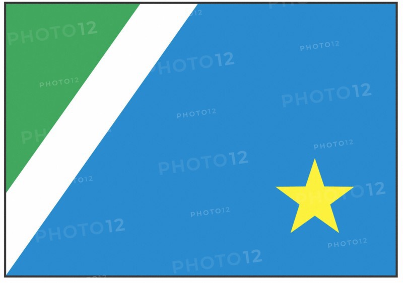 Drapeau de l'Etat de Mato Grosso do Sul