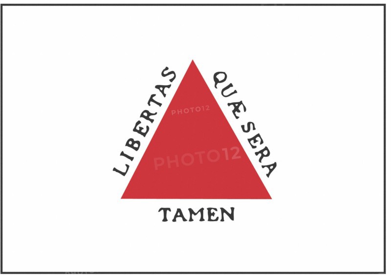 Minas Gerais state flag