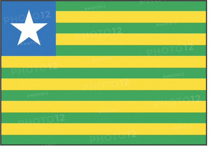 Piaui state flag
