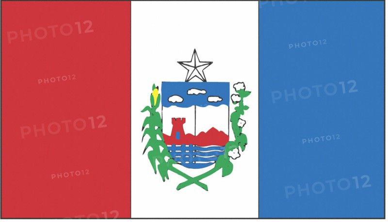 Alagoas state flag