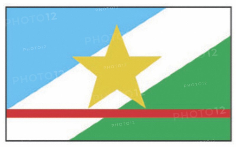 Roraima state flag
