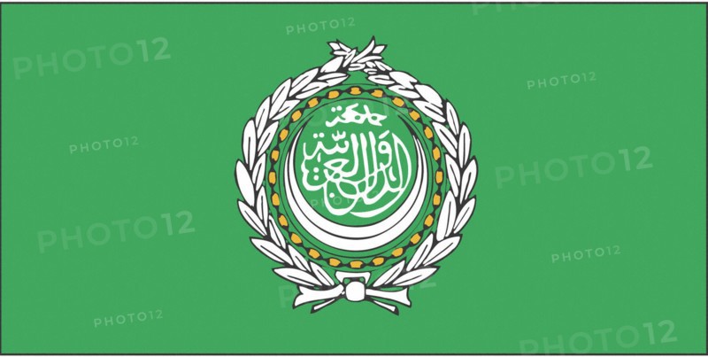 Drapeau de la Ligue arabe