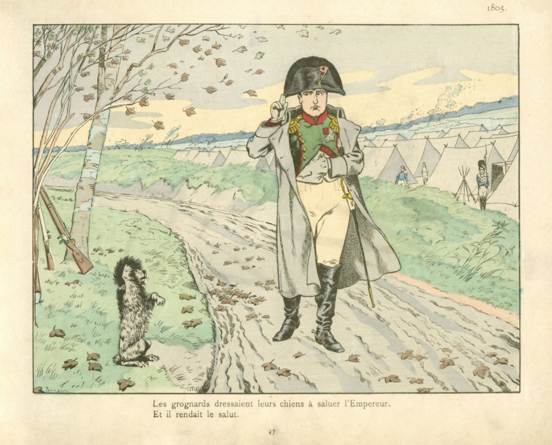 Livre pour enfant : la bataille d'Austerlitz