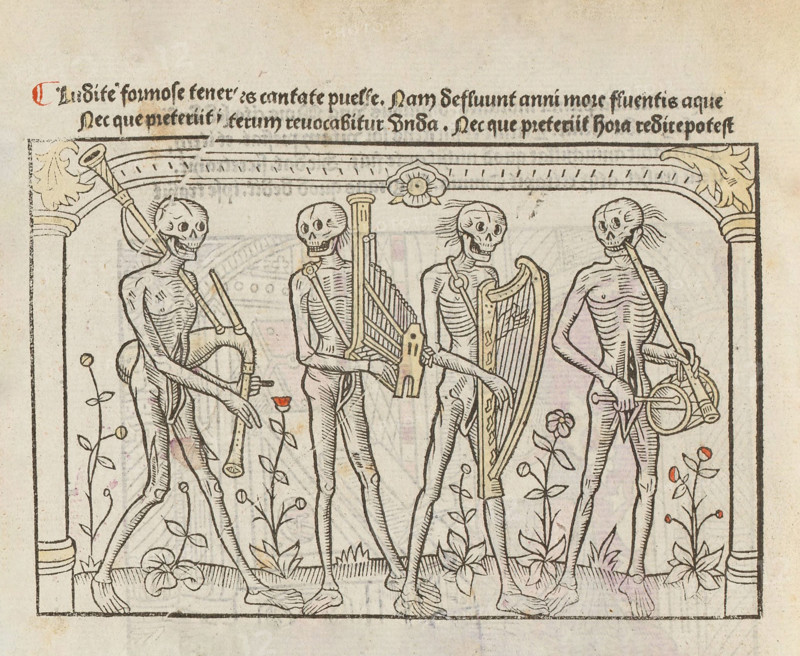 Ouvrage "La Danse macabre des femmes"