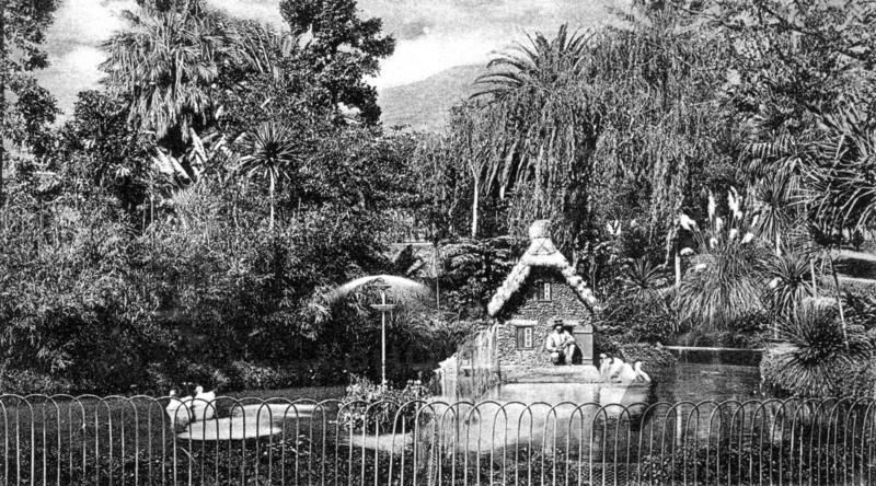 Madeira, public garden