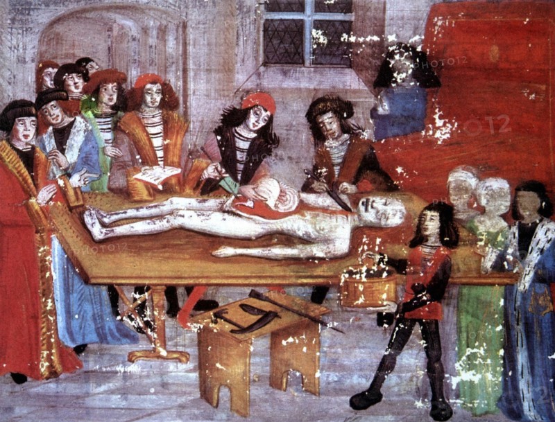 leçon d'anatomie en l'école de médecine de Montpellier
