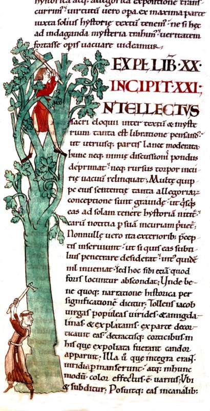 Citeaux, "Moralia in Job" by Gregory the Great. Landclearer monk