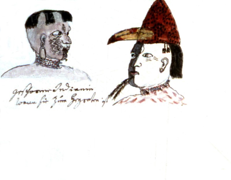 Zwettler Codex. Life of Guarani Indians seen by a Jesuit father