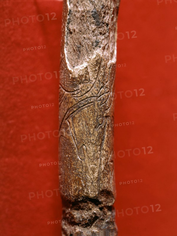 Engraved bone found in Lortet, France