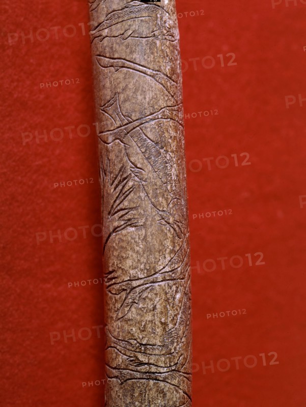 Engraved bone found in Lortet, France