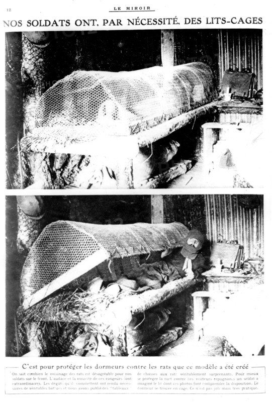 Beds with grate used by soldiers during World War I