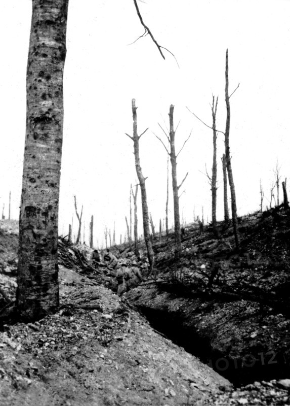 Un boyau, bois de la Caillette