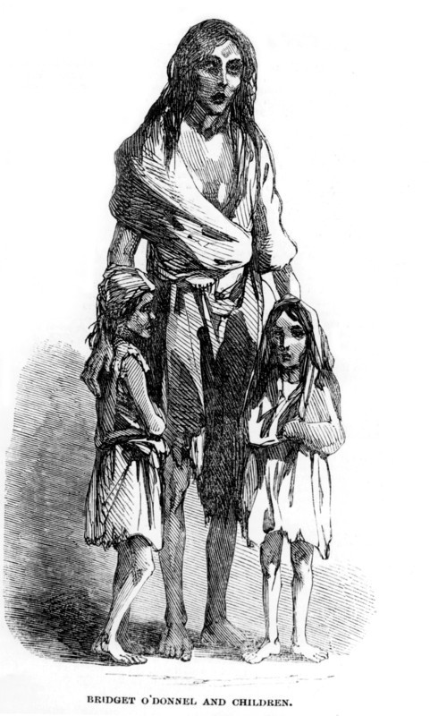 Social conditions: famine and misery: Bridget O'Donnel and her children in "Illustrated London News"