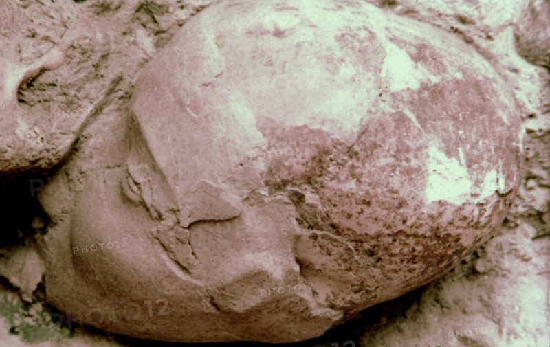 Crâne en provenance de Jéricho sur lequel sont modelés, les traits de l'homme vivant