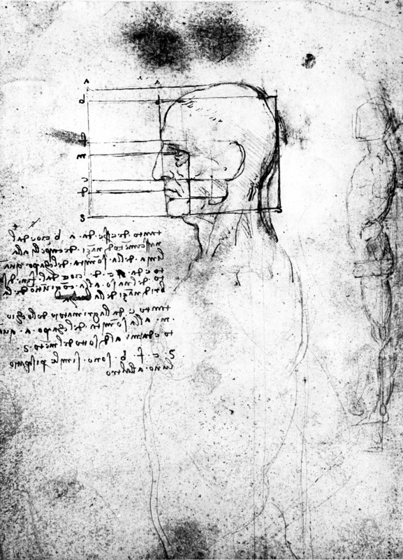 Proportions d'anatomie. Le visage