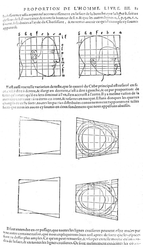 Proportions du visage humain