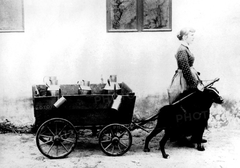 Milk dealer in Berlin