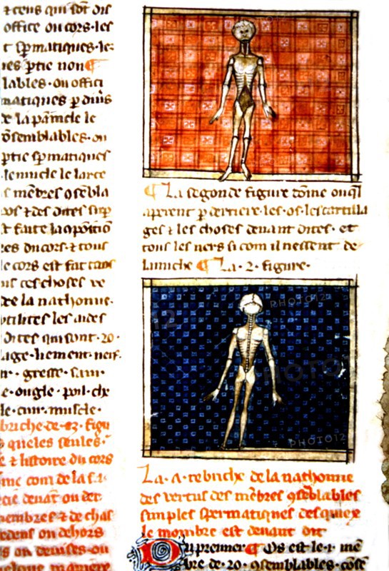Medical manuscript