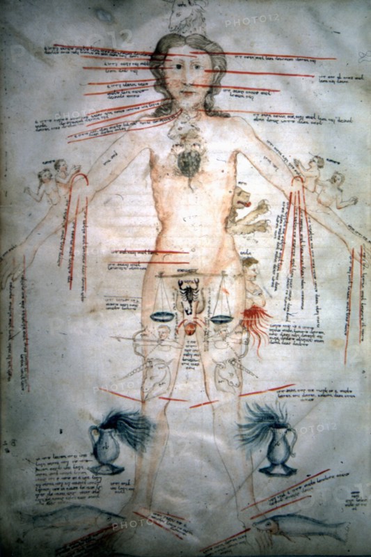 Manuscrit médical