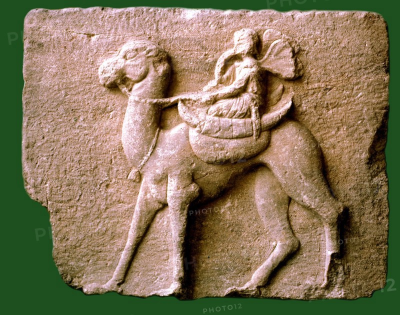 Winged genius on camel back