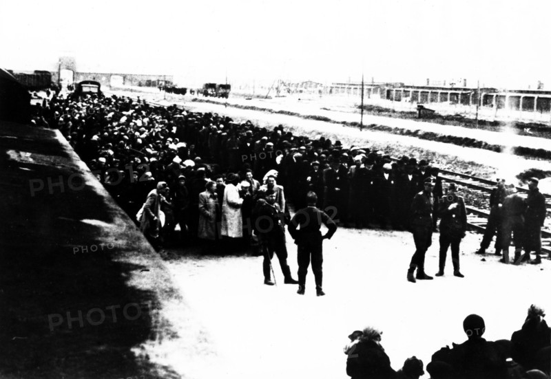 Arrivée à Auschwitz d'un convoi. Sélection sur le quai