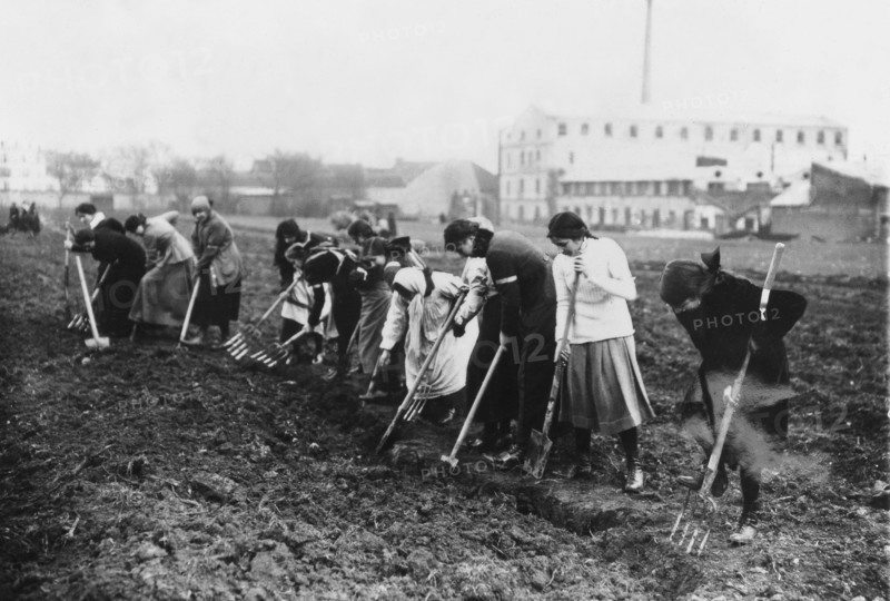 Women working in fields during world war I, 1917