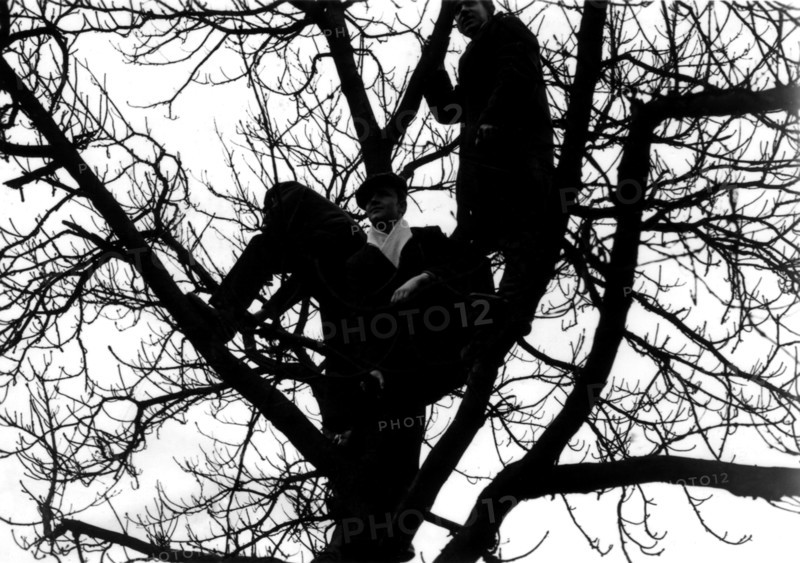 Emeutes à Paris, manifestants dans un arbre, 1934