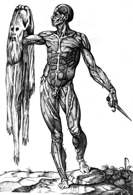 Anatomie de Valverde. Ecorché tenant sa peau