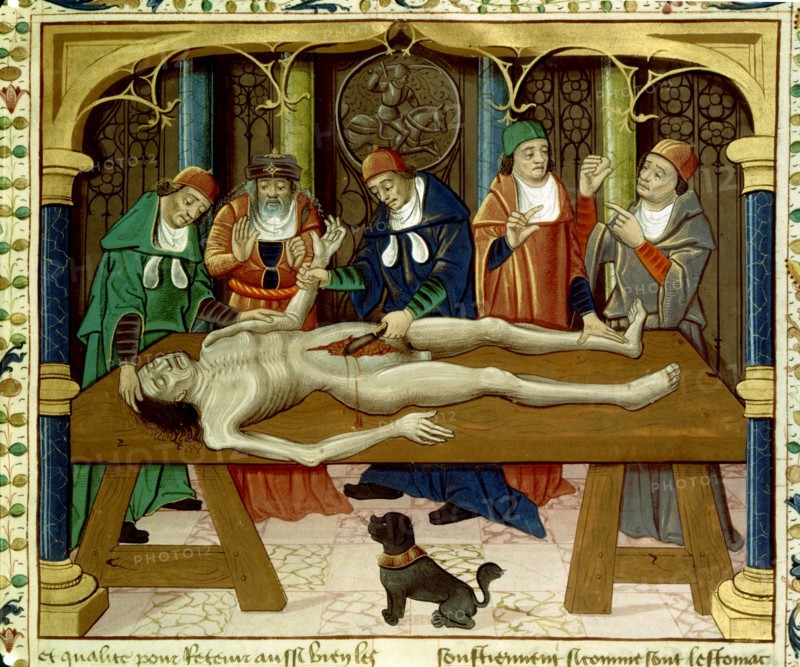 Barthélémy l'Anglais. Dissection