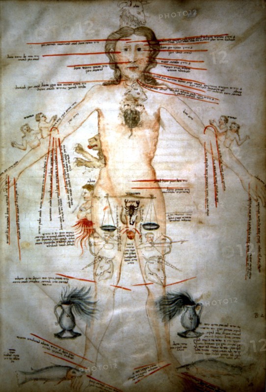 Compendium of medical texts. Man with zodiac signs corresponding to each part of his body
