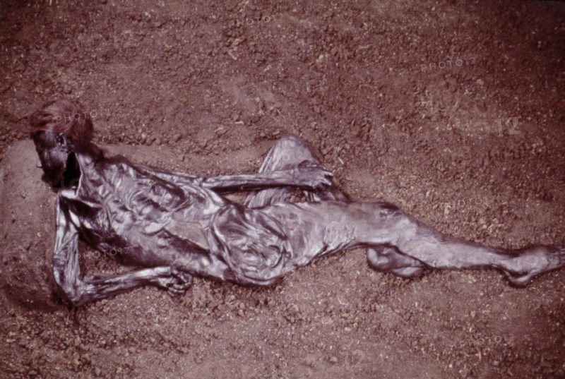 The Moesgaard Man, 2000 years old, found intact in the marshes