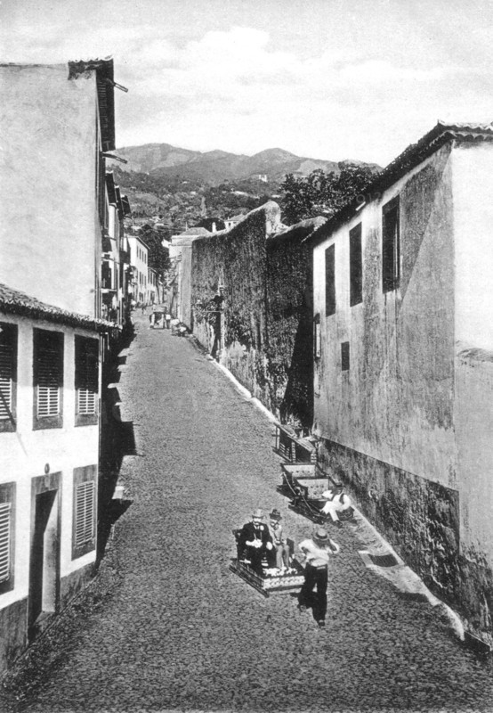 Madeira, means of transport