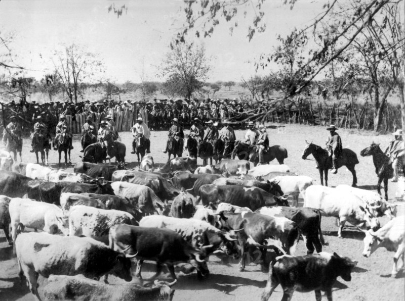 Farmers ready for rodeo (correr la vaca)