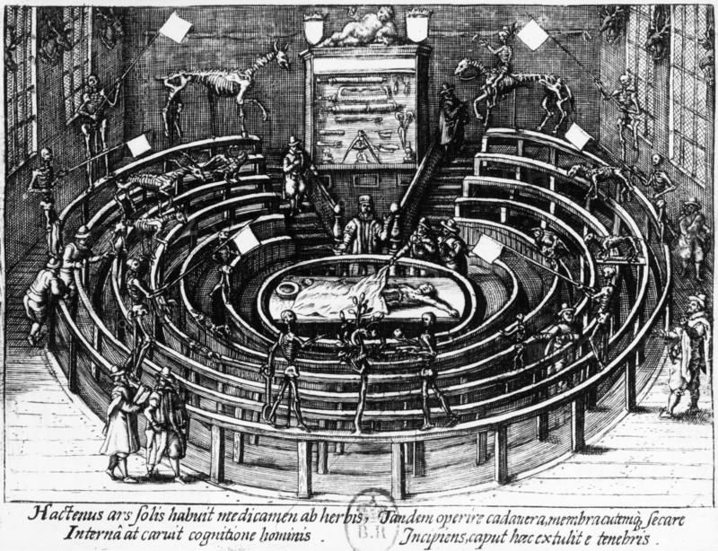 The anatomical theatre at Leiden