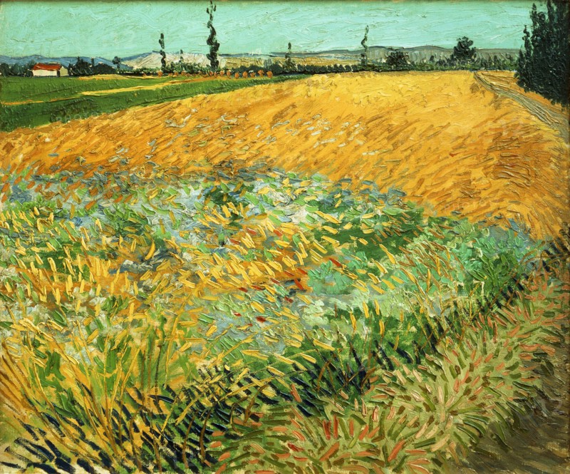 Van Gogh, Wheatfield