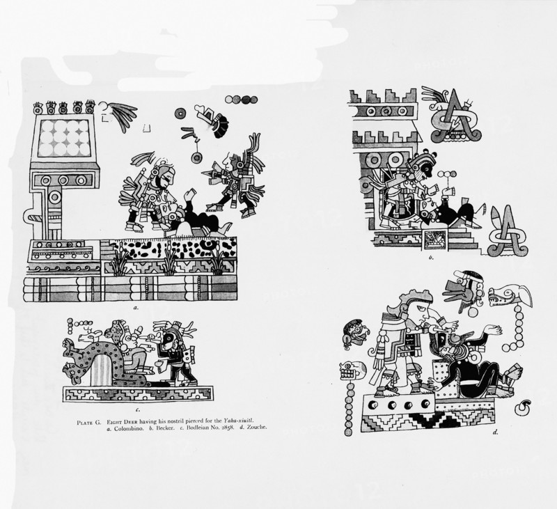 Codex Zouche-Nuttall, Rituels du Yakaxihuilt