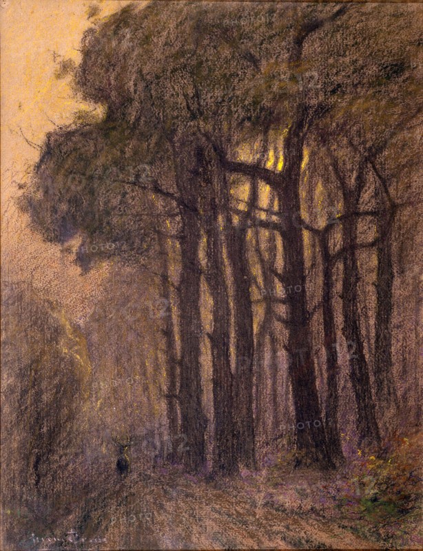 Prins, Le cerf dans la forêt