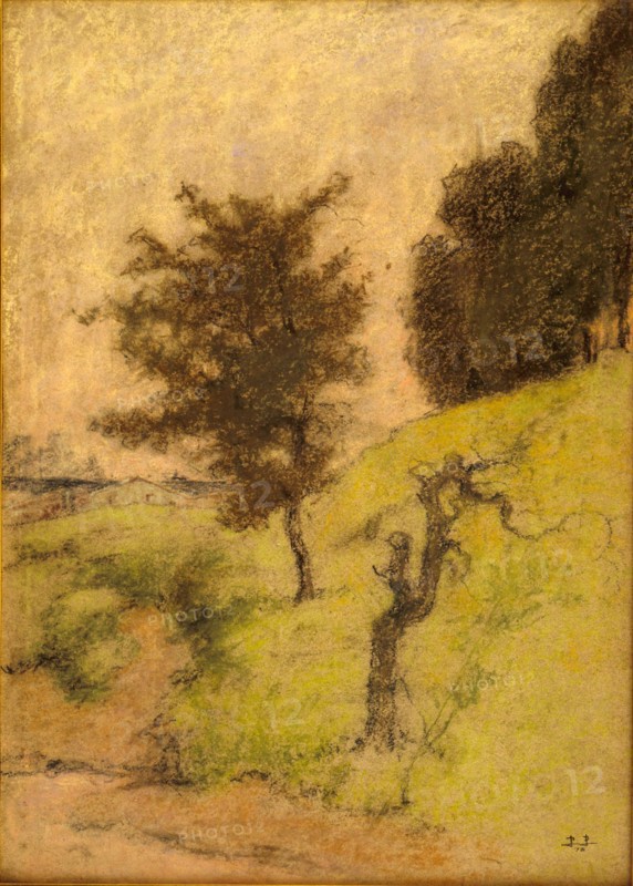 Prins, Arbres au bord du chemin