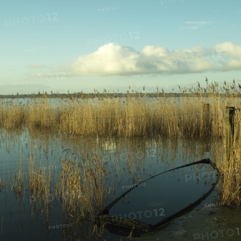 Barque coulee dans un marais