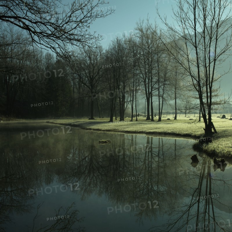 Etang
