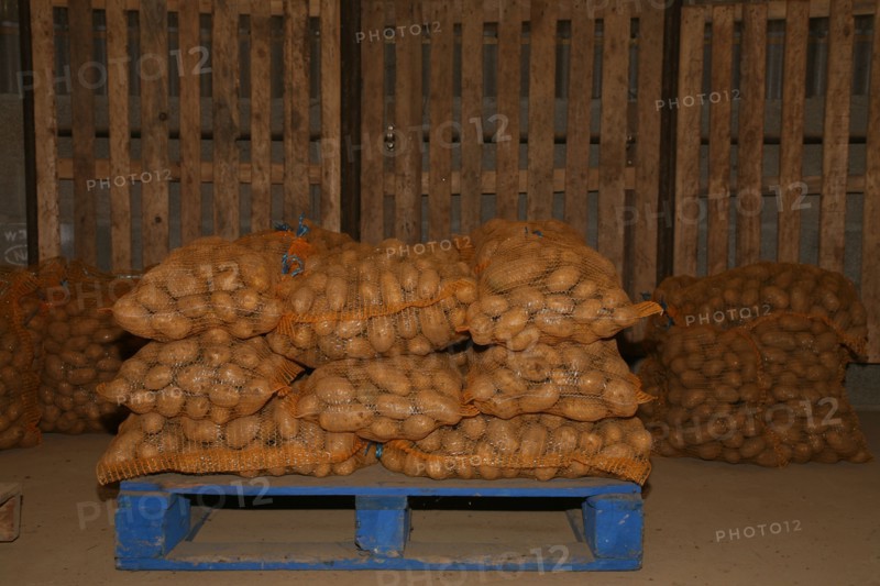 Sacs de pommes de terre sur une palette