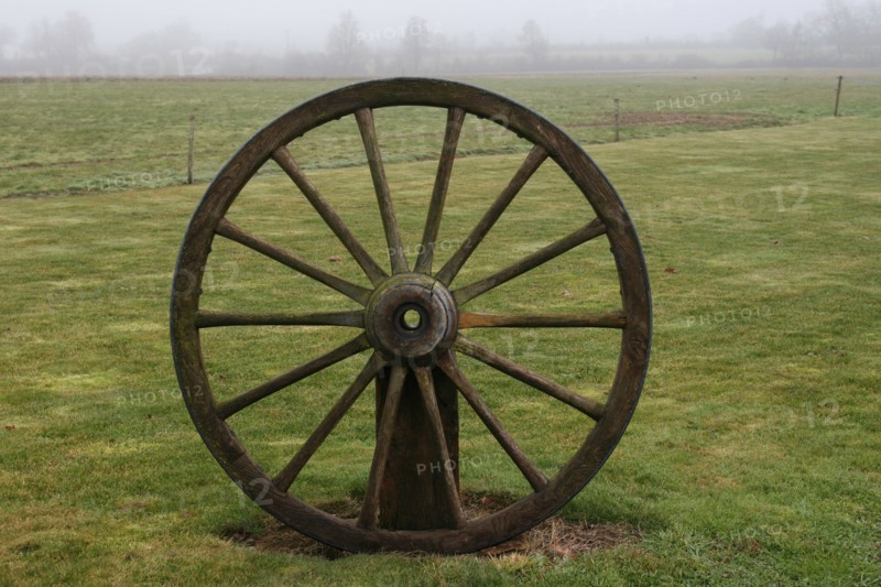 Roue