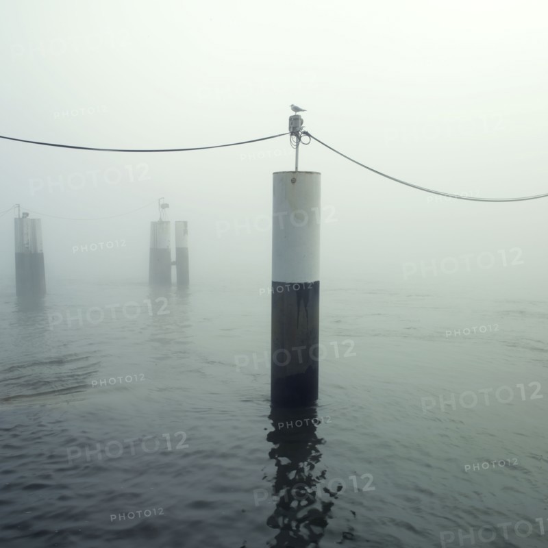 Brouillard sur la Seine