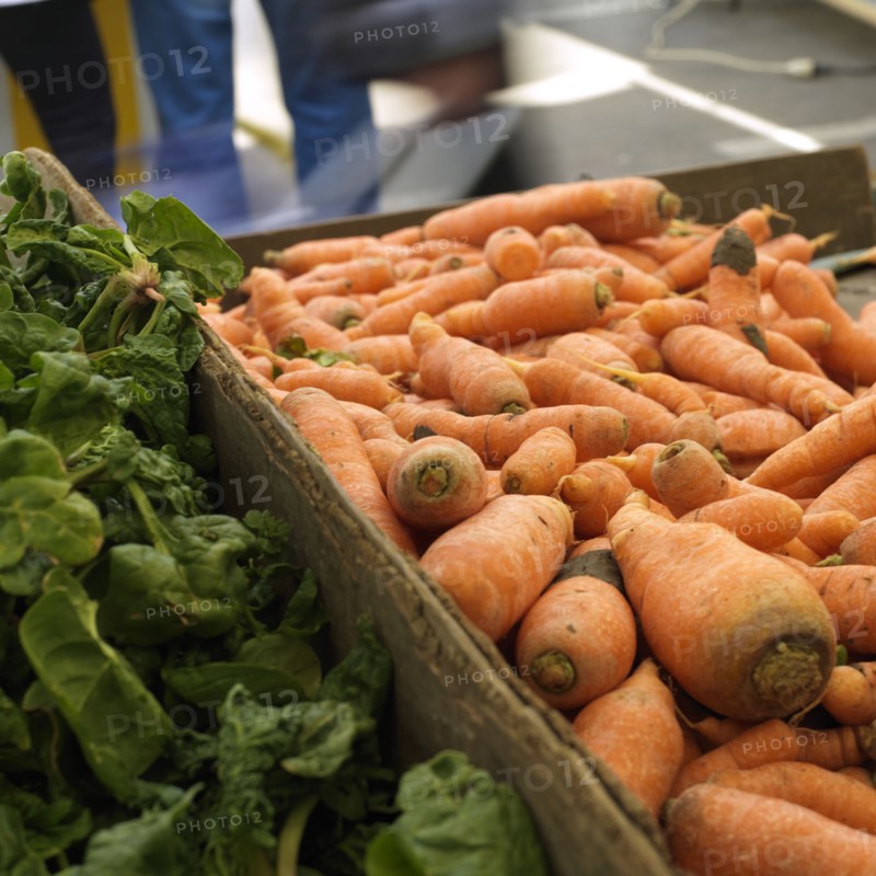 Carottes et epinards